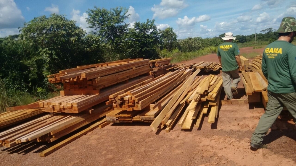 Foto da operação joio do IBAMA em Brasnorte
