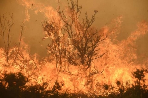 França: Mortes aumentaram durante onda de calor, diz instituto