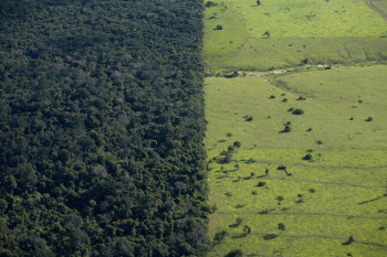 Ministrio Pblico aponta crimes de licenciamento ambiental em MT