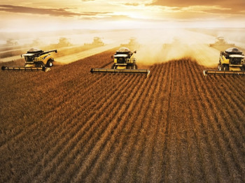 Receita da produo agropecuria de MT atingir R$ 70 bilhes em 2018
